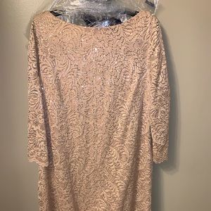 COPY - Size 18 Jessica Howard Blush Pink Dress